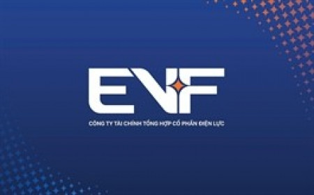 Công ty Tài chính Cổ phần Điện lực đổi tên